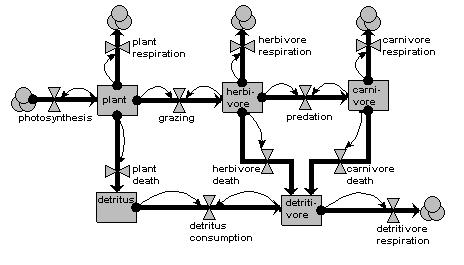 Ecosystem energy flow | Simulistics