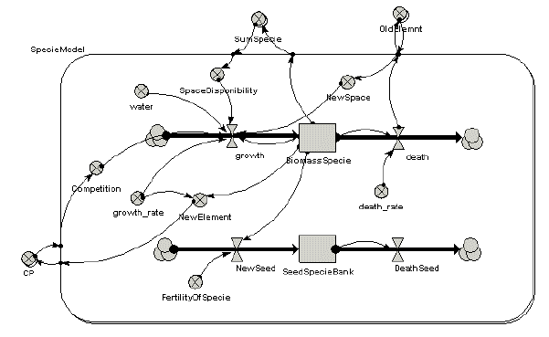 Simile model diagram for the seed prodcution model