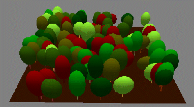 3D view (in VRML) of a stand of trees