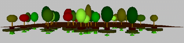 3D view of a stand of trees, showing root discs