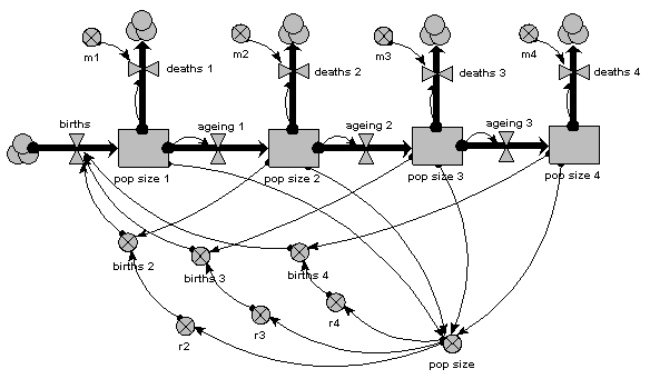 Age class, multiple compartment model diagram