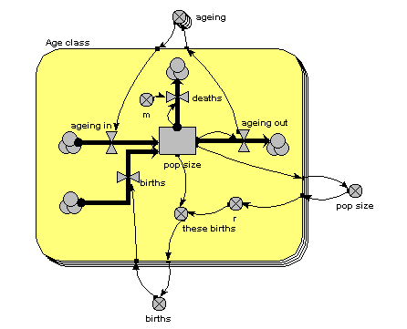 Age class, multiple-instance submodel diagram