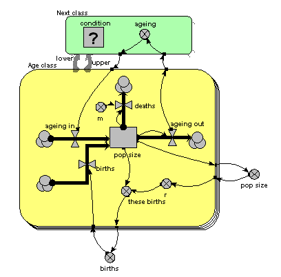 Age class, association submodel diagram