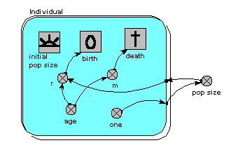 Age class, association submodel diagram